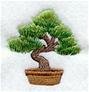 Tea Ceremony - Bonsai Tree